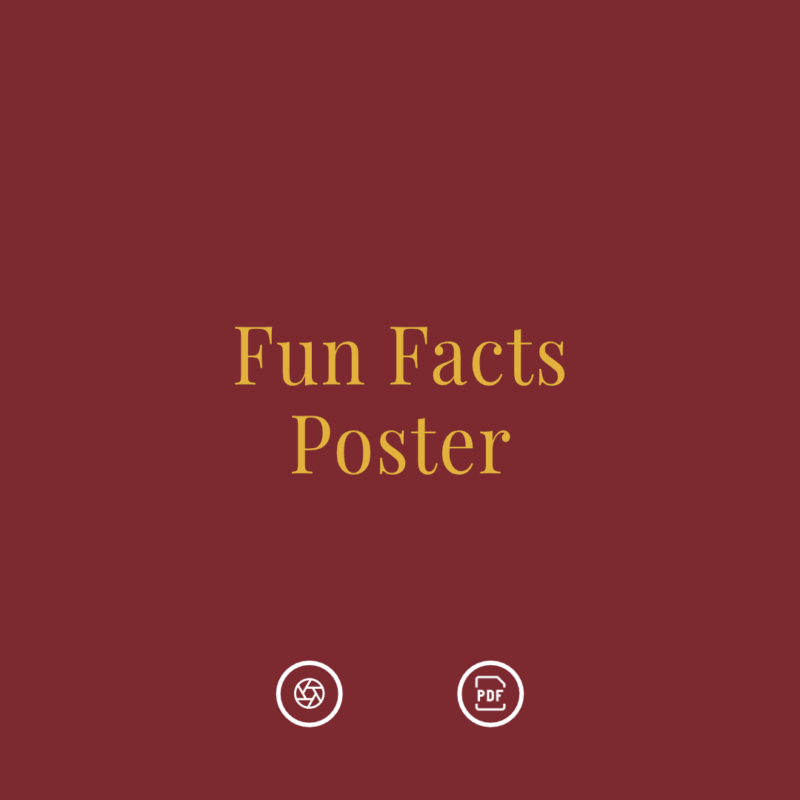 BONUS:<br> Wein Fun Facts